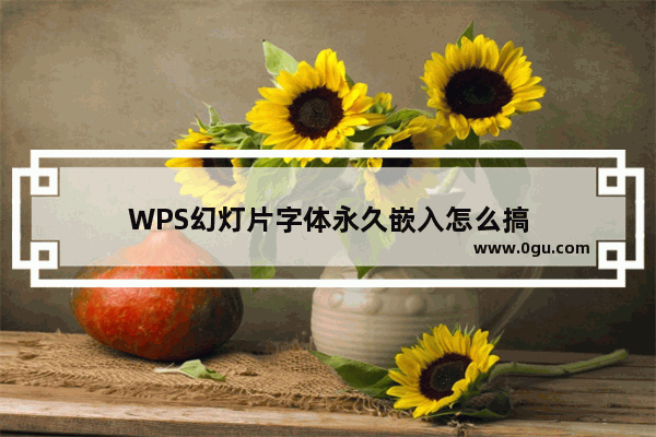 WPS幻灯片字体永久嵌入怎么搞