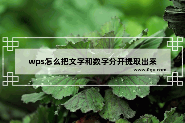 wps怎么把文字和数字分开提取出来