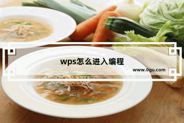 wps怎么进入编程