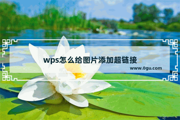 wps怎么给图片添加超链接