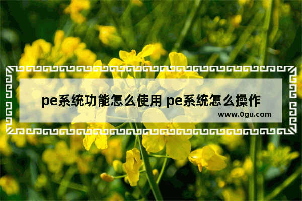 pe系统功能怎么使用 pe系统怎么操作