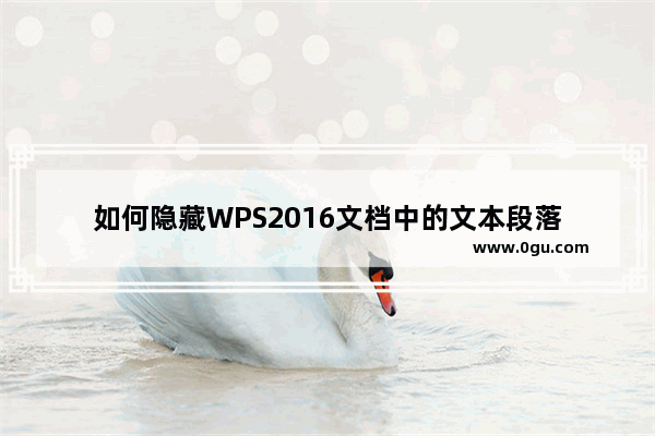 如何隐藏WPS2016文档中的文本段落