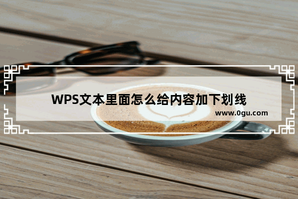 WPS文本里面怎么给内容加下划线