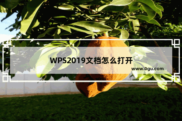 WPS2019文档怎么打开