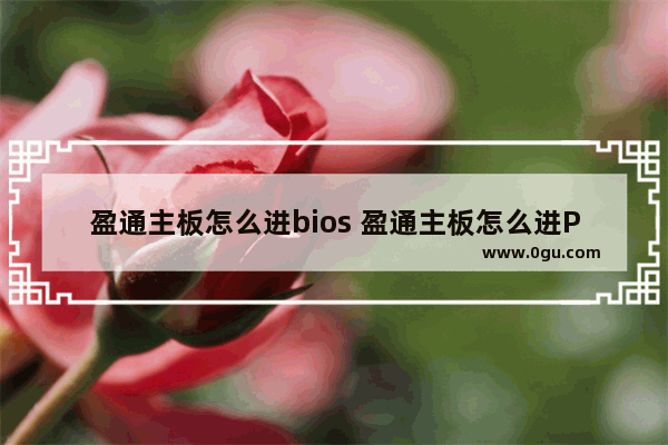 盈通主板怎么进bios 盈通主板怎么进PE