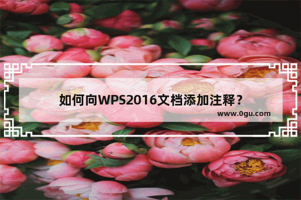 如何向WPS2016文档添加注释？