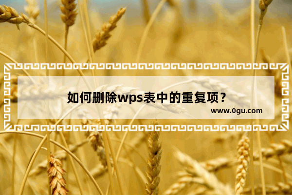 如何删除wps表中的重复项？