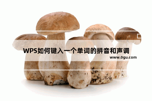 WPS如何键入一个单词的拼音和声调