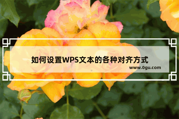 如何设置WPS文本的各种对齐方式