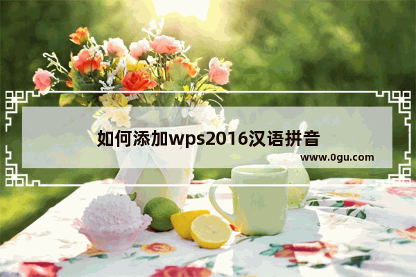 如何添加wps2016汉语拼音