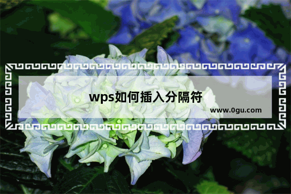 wps如何插入分隔符