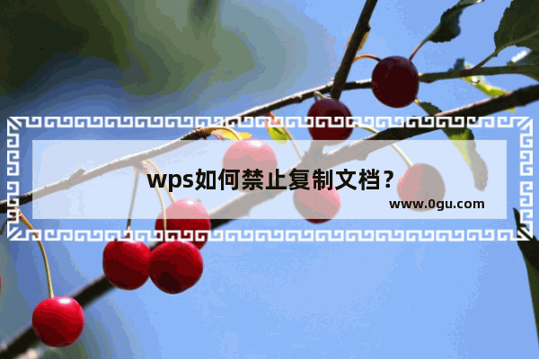 wps如何禁止复制文档？