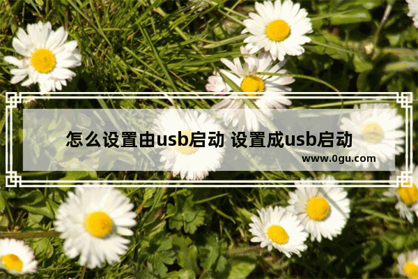 怎么设置由usb启动 设置成usb启动