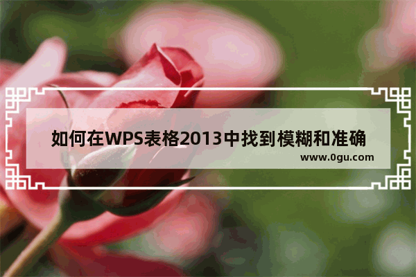 如何在WPS表格2013中找到模糊和准确