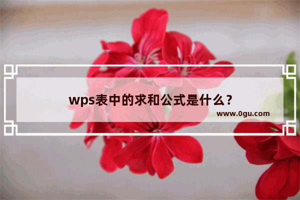 wps表中的求和公式是什么？