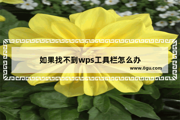 如果找不到wps工具栏怎么办