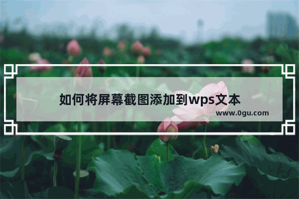 如何将屏幕截图添加到wps文本