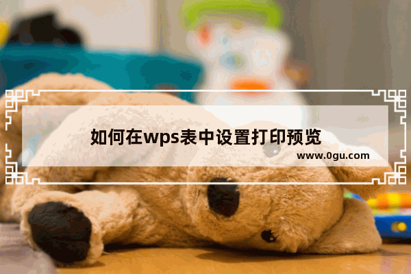 如何在wps表中设置打印预览