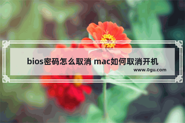 bios密码怎么取消 mac如何取消开机密码