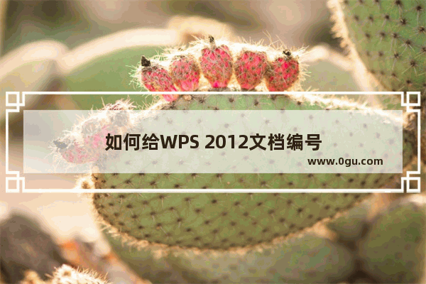 如何给WPS 2012文档编号