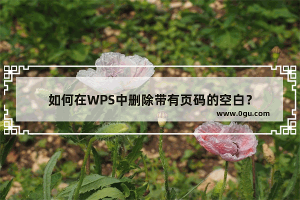 如何在WPS中删除带有页码的空白？