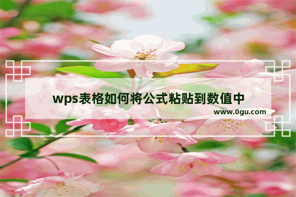 wps表格如何将公式粘贴到数值中