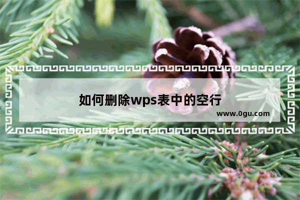 如何删除wps表中的空行