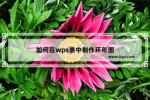 如何在wps表中制作环形图