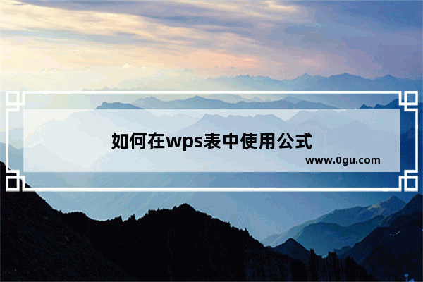 如何在wps表中使用公式