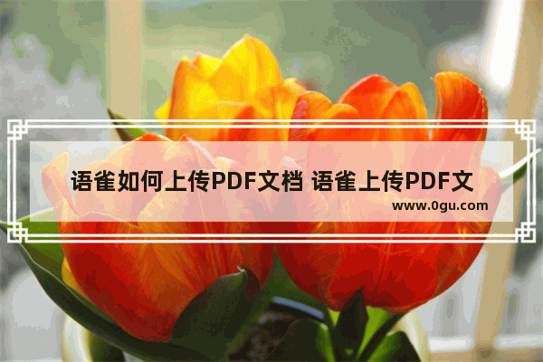 语雀如何上传PDF文档 语雀上传PDF文档的方法