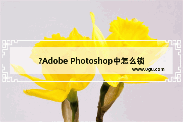 ?Adobe Photoshop中怎么锁定参考线 PS固定参考线位置的方法教程