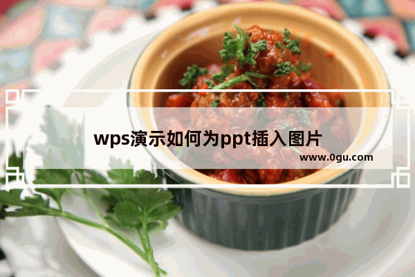 wps演示如何为ppt插入图片