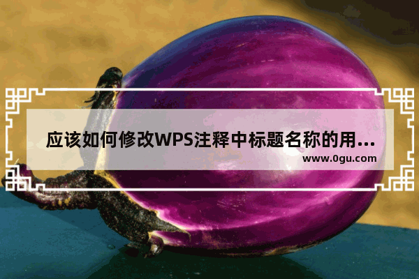 应该如何修改WPS注释中标题名称的用户信息？