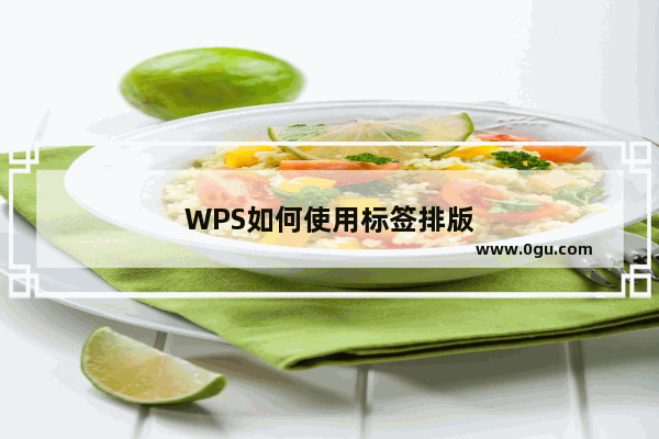 WPS如何使用标签排版