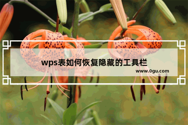 wps表如何恢复隐藏的工具栏