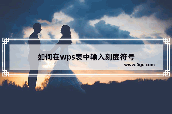 如何在wps表中输入刻度符号