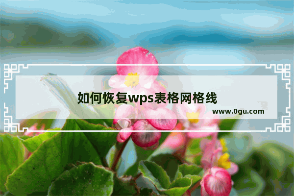 如何恢复wps表格网格线