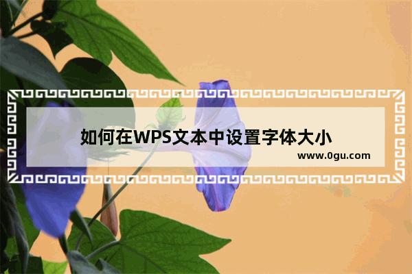 如何在WPS文本中设置字体大小