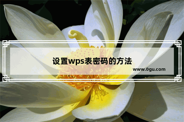 设置wps表密码的方法