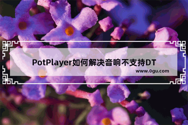 PotPlayer如何解决音响不支持DTS编码问题