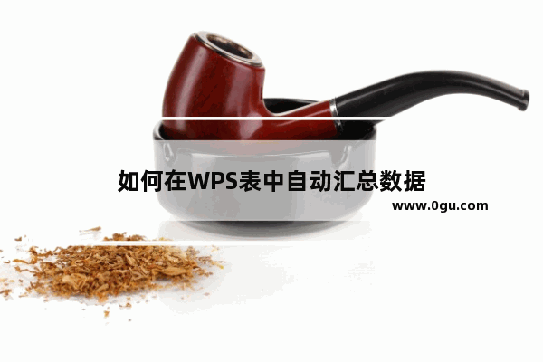 如何在WPS表中自动汇总数据