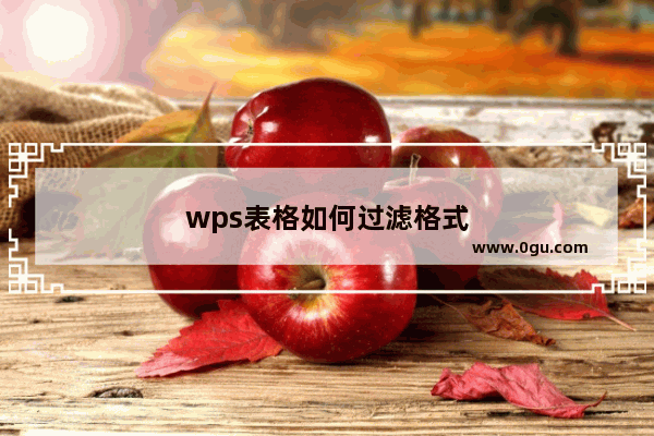 wps表格如何过滤格式