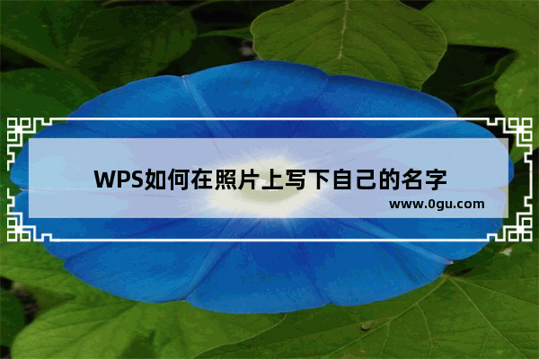 WPS如何在照片上写下自己的名字