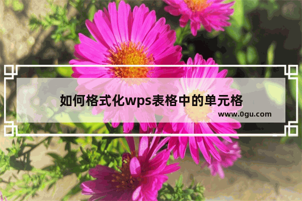 如何格式化wps表格中的单元格