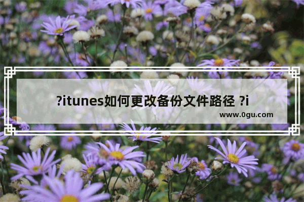 ?itunes如何更改备份文件路径 ?itunes调整文件夹位置的方法