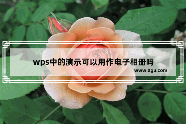 wps中的演示可以用作电子相册吗