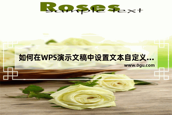 如何在WPS演示文稿中设置文本自定义动画