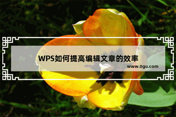 WPS如何提高编辑文章的效率