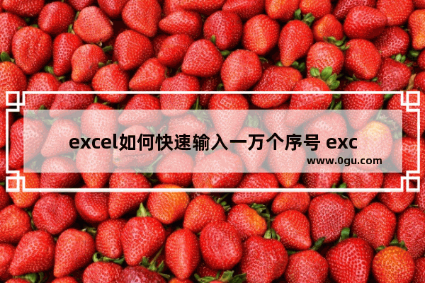 excel如何快速输入一万个序号 excel自动填充大量序号的设置方法