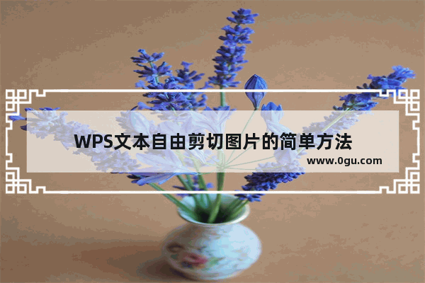 WPS文本自由剪切图片的简单方法